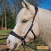 EDIX ED-2 Rose Sidepull (brown)