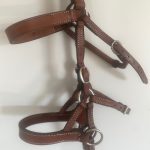 MLH Bitless Bridle