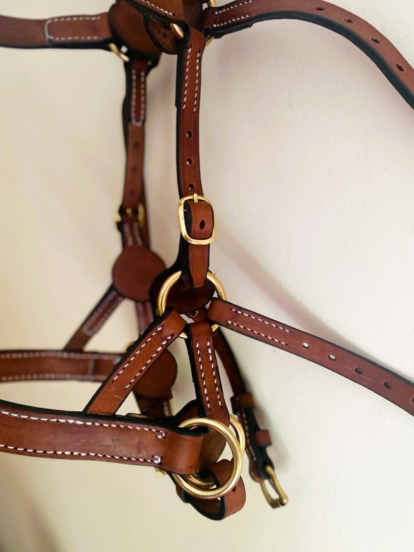 MLH Bitless Bridle - Image 7