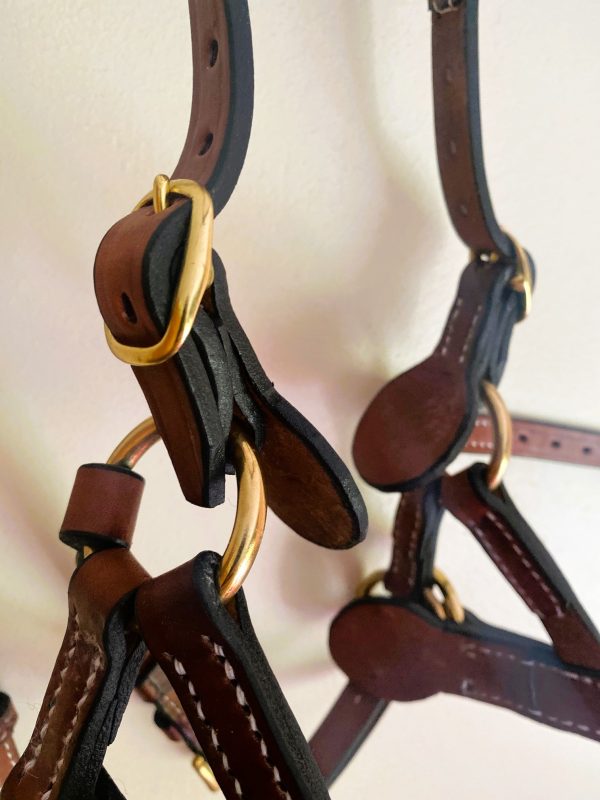 MLH Bitless Bridle - Image 9