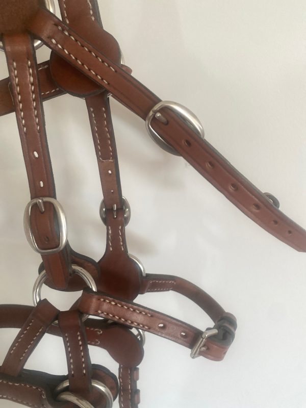 MLH Bitless Bridle - Image 7