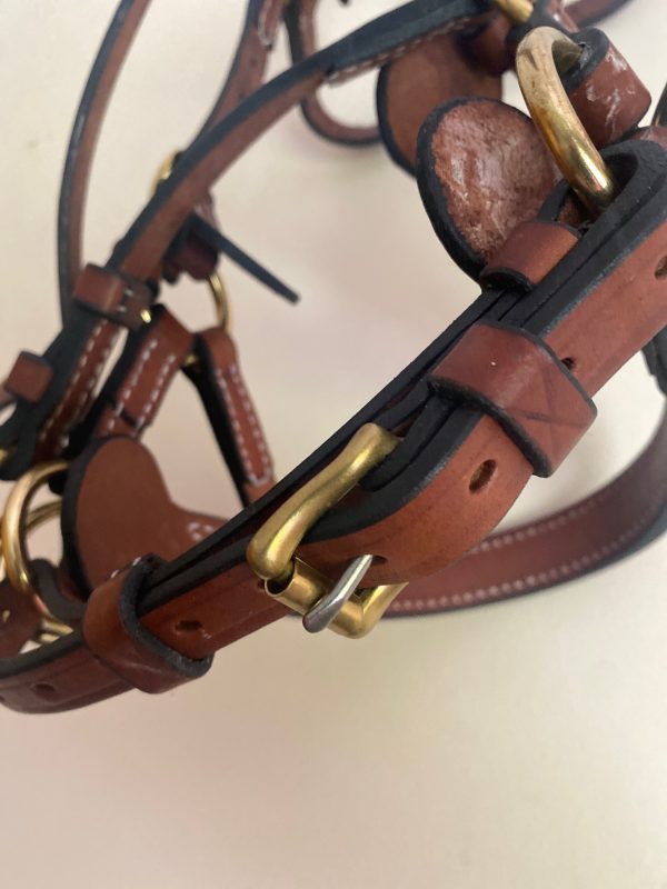 MLH Bitless Bridle - Image 10