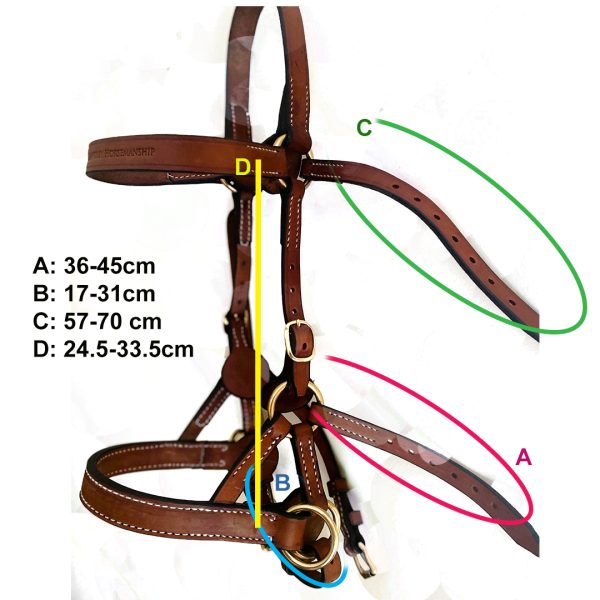 MLH Bitless Bridle - Image 5