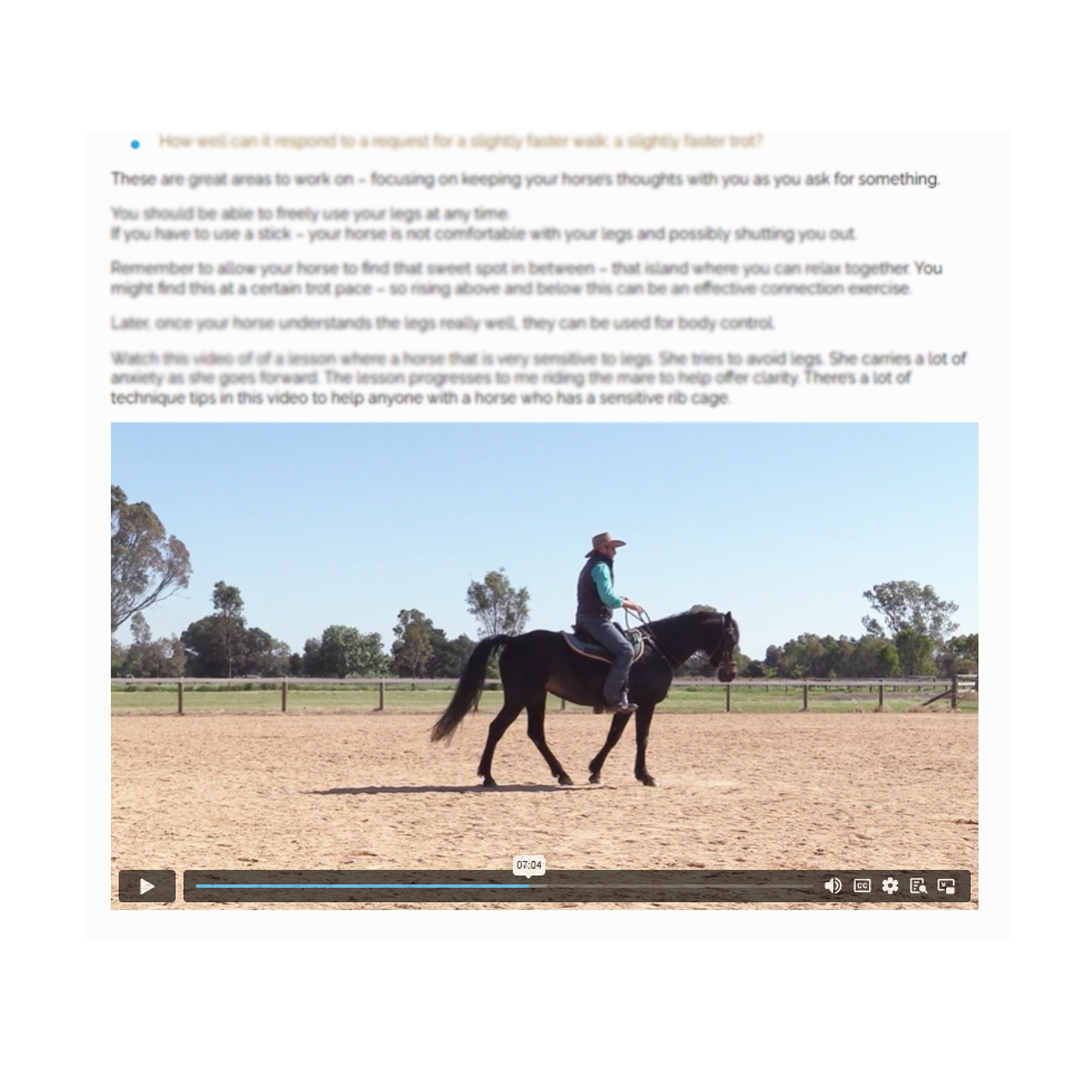 Course: Reducing Trail Riding Anxiety - Image 4